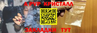 шишки Аргун