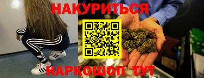 шишки Аргун
