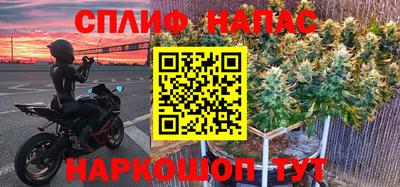 шишки Аргун