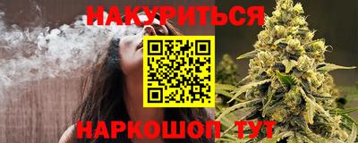 шишки Аргун