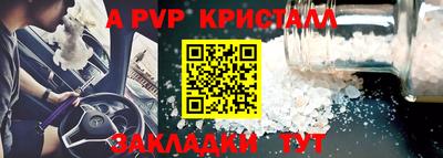 шишки Аргун