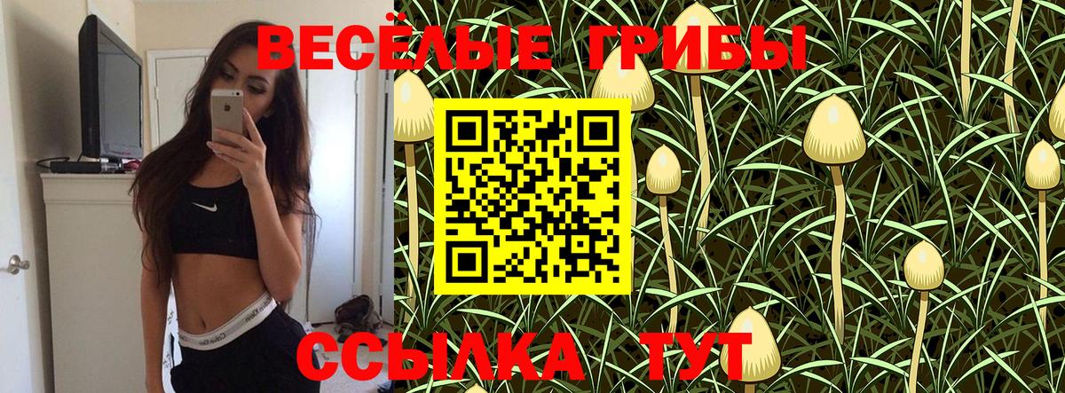 Галлюциногенные грибы Cubensis  Вход с VPN  Выборг 